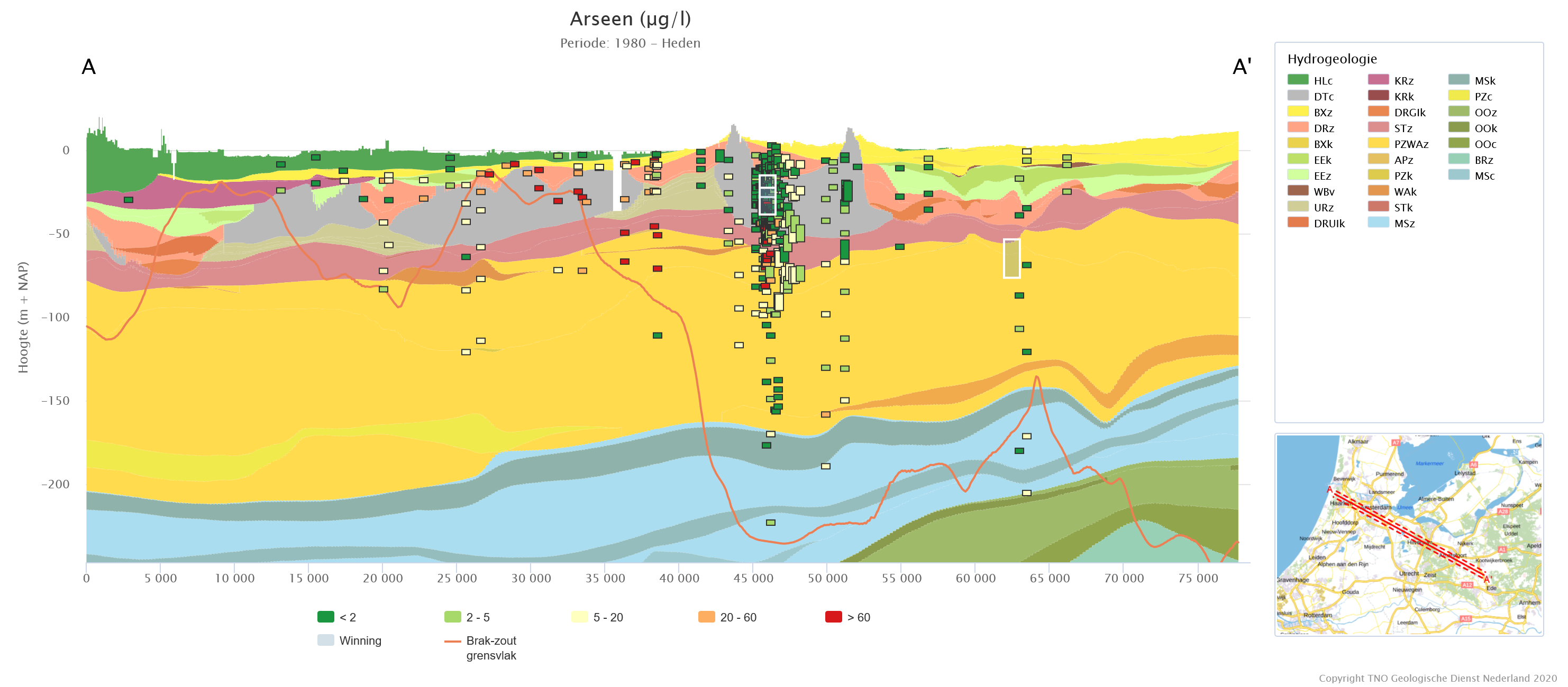 Arseen concentraties in het grondwater in een hydrogeologische dwarsdoorsnede tussen Ede en Haarlem