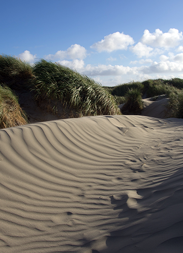 GDN_geologie-van-nederland_20161216.png